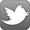 twitter2